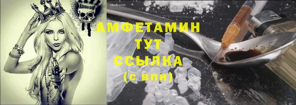МДПВ Пересвет