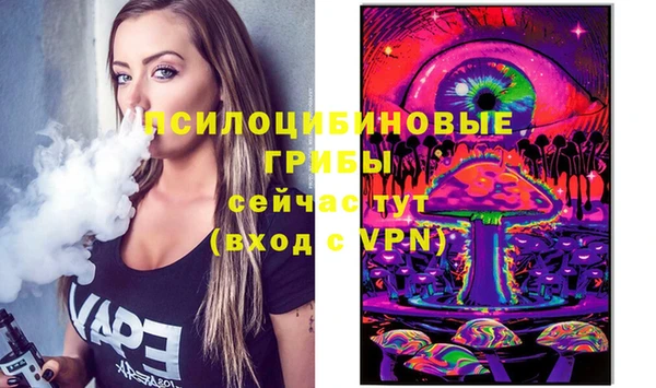 эйфоретик Абинск