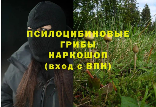 эйфоретик Абинск